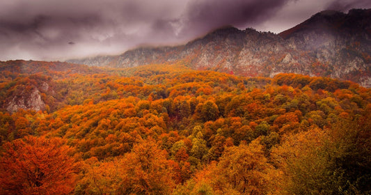 Growing Through Every New Season: Nature's Gentle Reminder to Keep Becoming