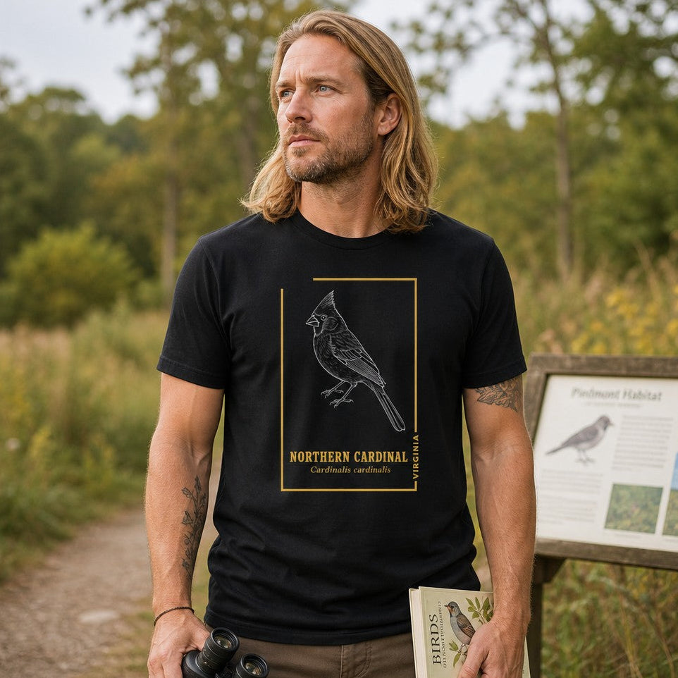 Man in black Bella Canvas 3001 t-shirt featuring a hand-drawn white line art northern cardinal with vintage gold framing and serif text, standing on a nature trail with birdwatching gear, perfect for birdwatchers and nature lovers, by Crossroads Dandelion